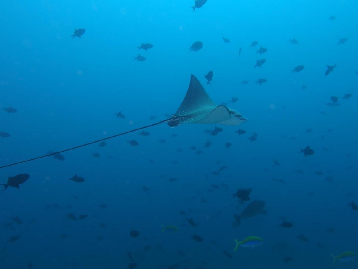 Leaf Fish Guesthouse Maldives Keyodhoo  Экстерьер фото